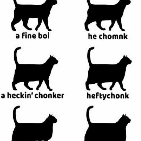 Meet your Posher, Anne - Picture 7 of 8